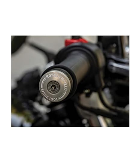 Royal Enfield Silver Bar End Finishers