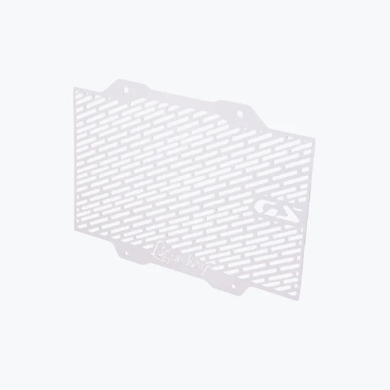 LEGUNDARY VECTOR RADIATOR GRILL SILVER FOR BMW F450 GS