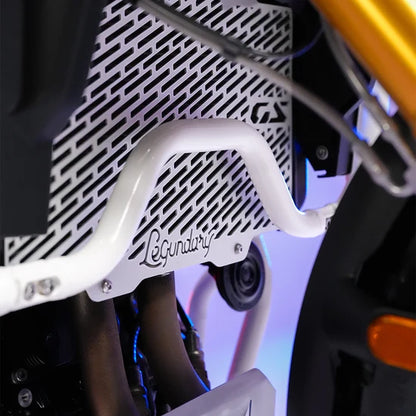 LEGUNDARY VECTOR RADIATOR GRILL SILVER FOR BMW F450 GS